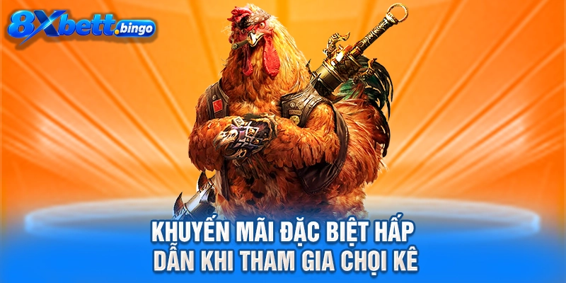 Khuyến mãi đặc biệt hấp dẫn khi tham gia chọi kê 