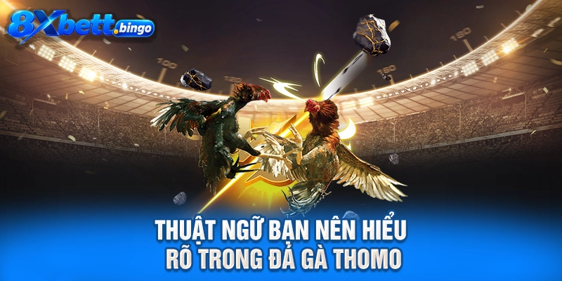 Thuật ngữ bạn nên hiểu rõ trong đá gà Thomo