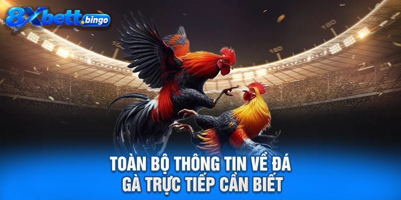 Toàn bộ thông tin về đá gà trực tiếp cần biết